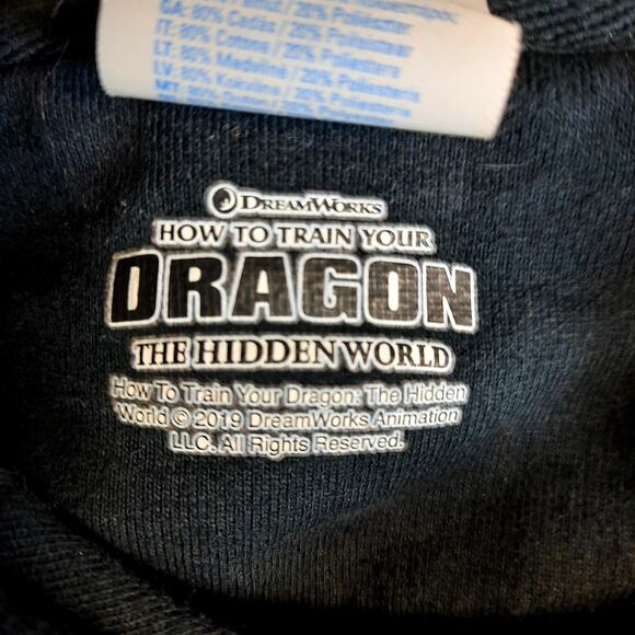Dream Works The Hidden World Dragon Training It's‎ a Girl Thing Black Hoodie XL - Picture 5 of 7